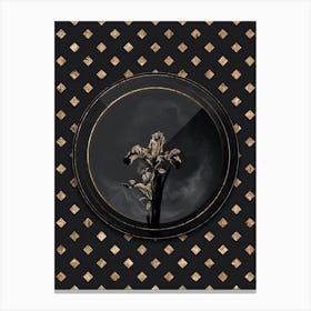 Shadowy Vintage Iris Persica Botanical in Black and Gold 1 Canvas Print