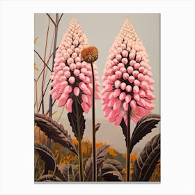 Flower Illustration Prairie Clover Canvas Print