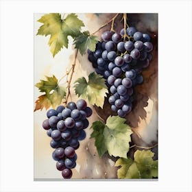 Vines,Black Grapes And Wine Bottles Painting (11) Canvas Print
