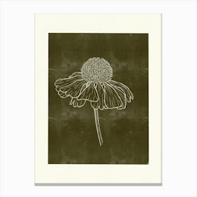 Daisy Lou Canvas Print