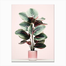 Eucalyptus Canvas Print