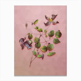 Vintage Virgin's Bower Botanical Art on Crystal Rose Canvas Print