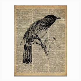 Starling Bird Canvas Print