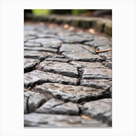 Close Up Of A Cobblestone Path Canvas Print