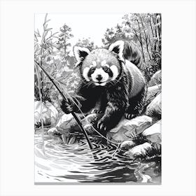 Red Panda Fishing In A Stream Ink Illustration 3 Canvas Print