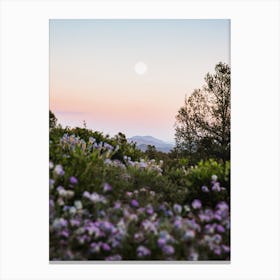 Full Moon Mountain Sunset With Purple Flowers Canvas Print