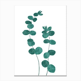 Green leaves Canvas Print