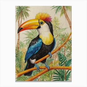 Toucan 33 Canvas Print