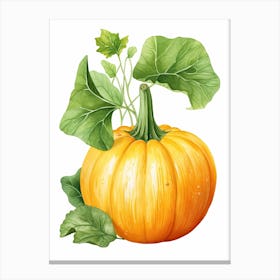 Buttercup Squash Pumpkin Watercolour Illustration 1 Canvas Print