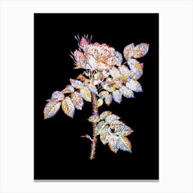Stained Glass Kamtschatka Rose Mosaic Botanical Illustration on Black n.0336 Canvas Print