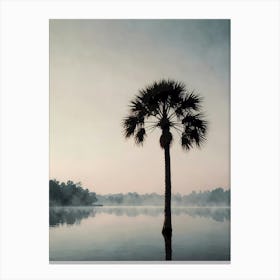 Palm Tree In Water Canvas Print