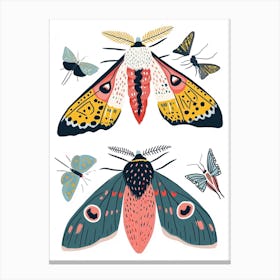 Colourful Insect Illustration Moth 56 Canvas Print