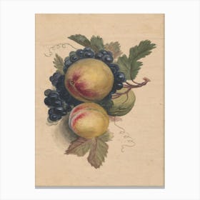 Peaches And Grapes 2 Canvas Print