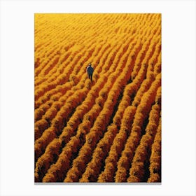 Sunflower Field 3 Canvas Print
