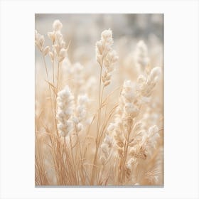 Boho Dried Flowers Bluebonnet 1 Canvas Print