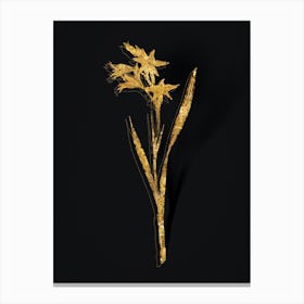 Vintage Gladiolus Cuspidatus Botanical in Gold on Black Canvas Print