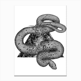 Cosmic Snake Canvas Print