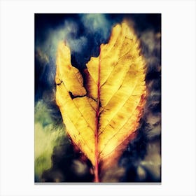 Decaying Fallen Leaf Canvas Print