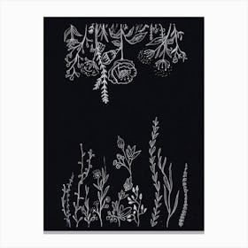 Flowers And Leaves Line Doted Art Print in Black Paper. Canvas Print