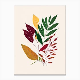 Curry Leaves Spices And Herbs Minimal Line Drawing 1 Canvas Print