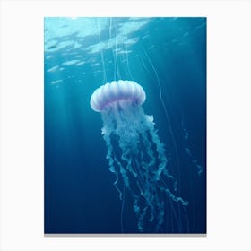 Sea Nettle Jellyfish Ocean Realistic 1 Canvas Print