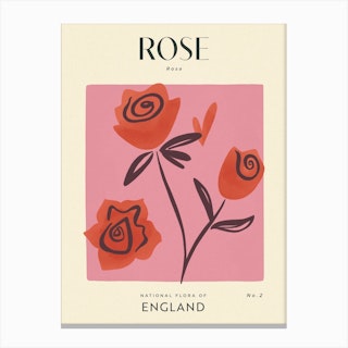 Vintage Pink And Red Rose Flower Of England Canvas Print