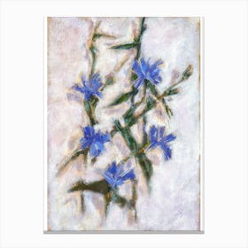 Blue Cornflowers Chicory Canvas Print