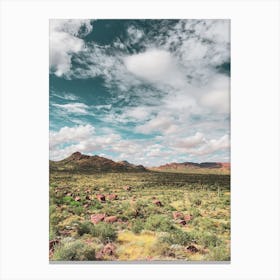 The Sonoran Desert Has No End In Sight Canvas Print