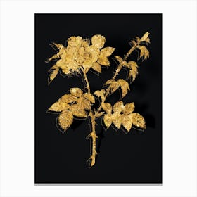 Vintage White Flowered Rose Botanical in Gold on Black n.0024 Canvas Print