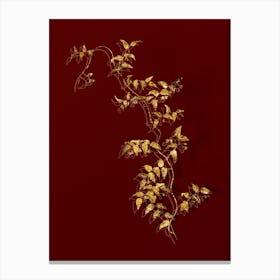 Vintage Bridal Creeper Botanical in Gold on Red n.0085 Canvas Print
