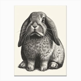 English Lop Blockprint Rabbit Illustration 3 Canvas Print