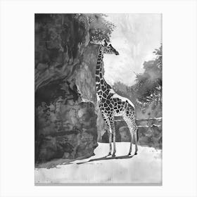 Zoo Austin Texas Black And White Watercolour 3 Canvas Print