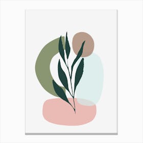 Plant In A Pot Canvas Print