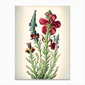 Snapdragon 2 Floral Botanical Vintage Poster Flower Canvas Print