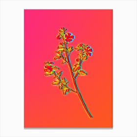 Neon Cape African Queen Botanical in Hot Pink and Electric Blue n.0465 Canvas Print