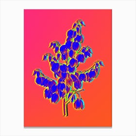 Neon Aloe Yucca Botanical in Hot Pink and Electric Blue Canvas Print
