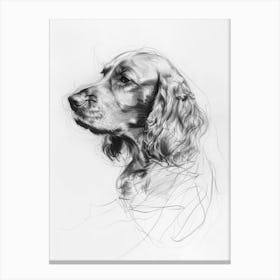 English Cocker Spaniel Dog Charcoal Line 3 Canvas Print