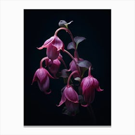 Close Up Flowers Canvas Print