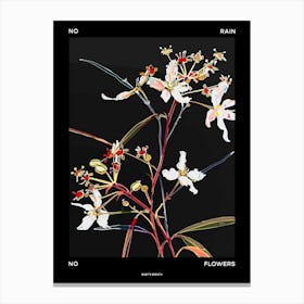 No Rain No Flowers Poster Babys Breath 10 Canvas Print