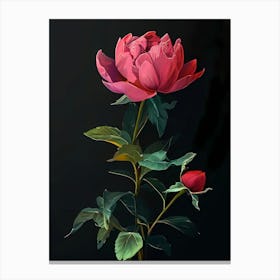 Peony Art Canvas Print