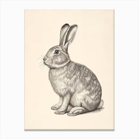 American Fuzzy Lop Blockprint Rabbit Illustration 1 Canvas Print