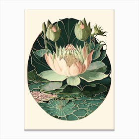 Water Lily Wildflower Vintage Botanical Canvas Print