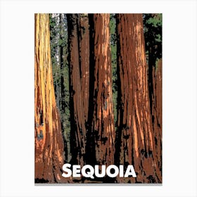 Sequoia, National Park, Nature, USA, Wall Print, Canvas Print