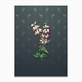 Vintage Two Colored Collinsia Botanical on Slate Gray Pattern n.0197 Canvas Print