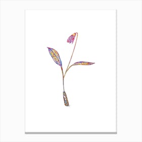 Stained Glass Erythronium Mosaic Botanical Illustration on White n.0023 Canvas Print