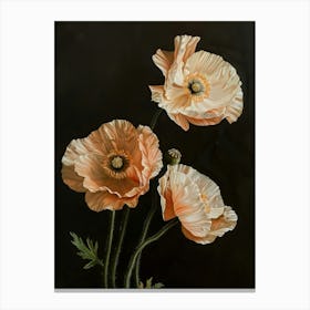 Omantic Beige Poppy 4 Canvas Print