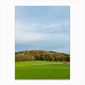 Field With Trees 11 Canvas Print