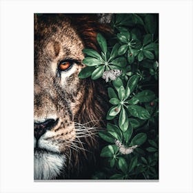 Lion In The Forest 1 Canvas Print