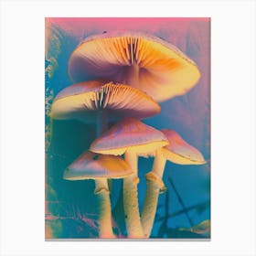 Mushrooms Retro Photo Inspired 3 Canvas Print