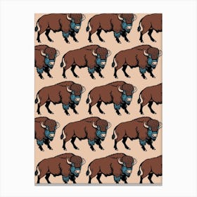 Buffalo/Bison Canvas Print